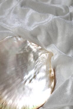 Gyldent perlemor fad