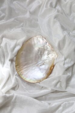 Golden Dish