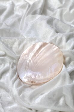 Pink Dish - Limited Edition