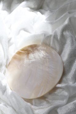 Peach Dish - Limited Edition