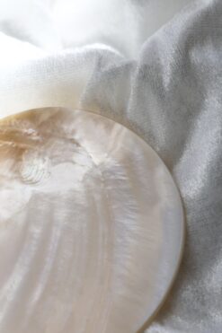 Peach Dish - Limited Edition