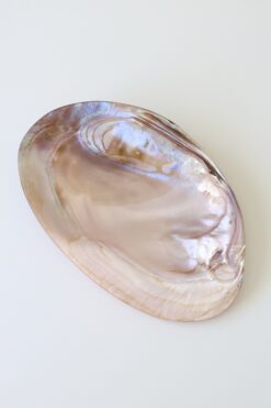 Purple Bowl