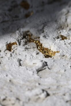 Aphros Painting Gold Edition